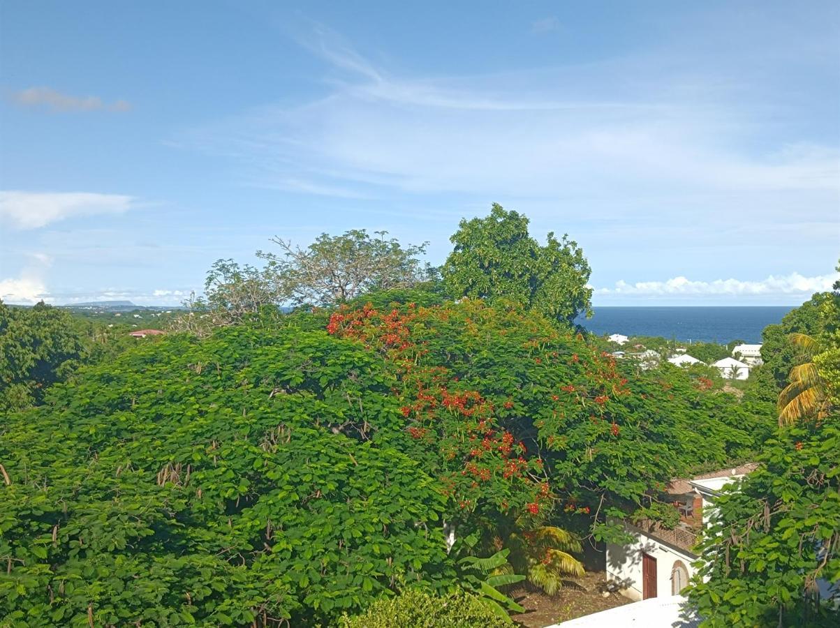 Chez Madeline Le Gosier (Grande-Terre) Exterior foto